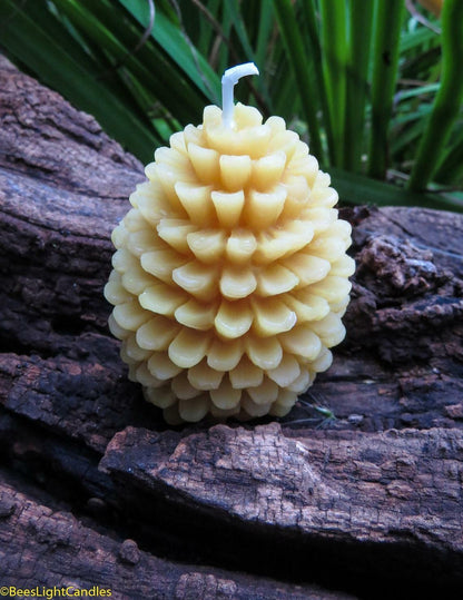 1 LB Pure Natural White Beeswax Pellets for Candle Soap Making Cosmetic Grade